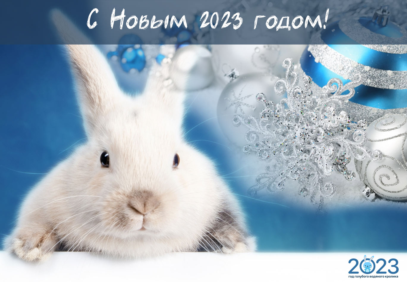 С наступающим Новым годом!